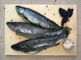 Семга паутинка: Форель радужная вяленая